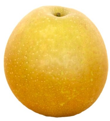 kanta