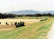 上里町宮多目的広場サッカー場の画像